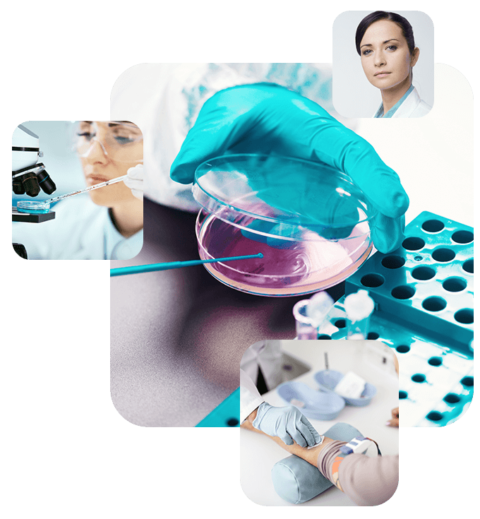 https://fabulerlifesciences.com/wp-content/uploads/2020/04/experience_02.png