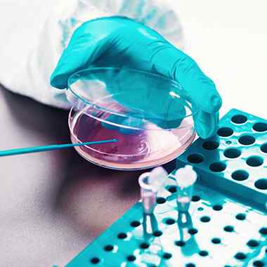 https://fabulerlifesciences.com/wp-content/uploads/2020/04/home_experience_07.jpg