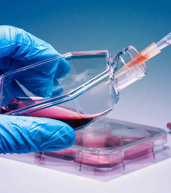 https://fabulerlifesciences.com/wp-content/uploads/2020/04/service_5.jpg